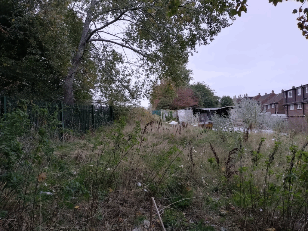 Orpington, Kent